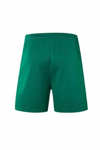 19-20 PSG Green Goalie Suit 11