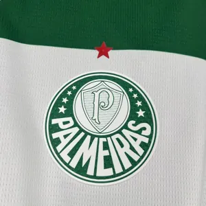 25-26 Palmeiras Special Edition Kit Football T-Shirt AAAAJersey Supply Yupoo 4