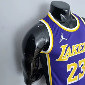 75th Anniversary James #23 Los Angeles Lakers Jordan Purple NBA Jersey 8