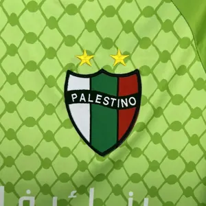 25-26 Palestino Goalkeeper Kit Soccer AAAAJersey Yupoo 1
