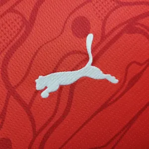 2024 Austria Home Kit UEFA Euro Shirt Football Replicas Yupoo 5