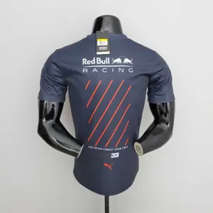 Formula 1 Red Bull 5