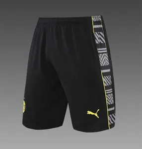 22-23 Dortmund Training Suit Short Sleeve Kit Grey 13