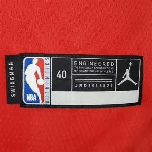 2021 MAXEY#0 76ers Jordan Themed Red NBA Jersey 8