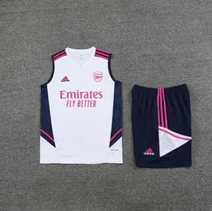 23-24 Arsenal Training Vest Kit S-XXL Soccer Jerseys 2