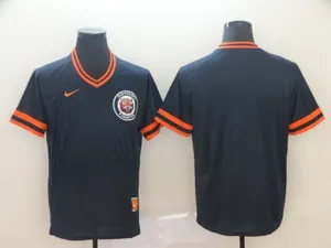 Detroit Tigers 24