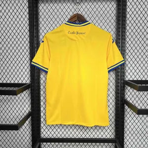 2024 Ukraine Home Kit UEFA Euro Shirt Football AAAAJersey Supplier 3