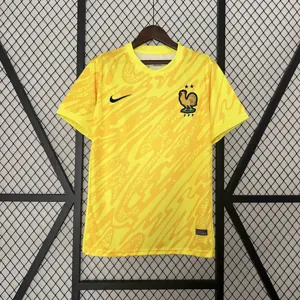 2024 France Goalkeeper Yellow Kit UEFA Euro Football Replicas Yupoo