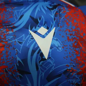 24-25 Crystal Palace Home Kit Player Version Shirt Sport AAAAJersey Yupoo 5