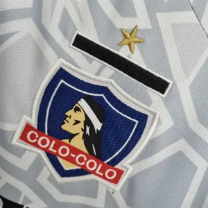 22-23 Colo-Colo goalkeeper grey 7