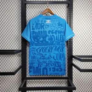 24-25 Gremio Training Kit Football Replicas Yupoo 3