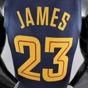Cleveland Cavaliers JAMES #23 Striped NBA Jersey 7