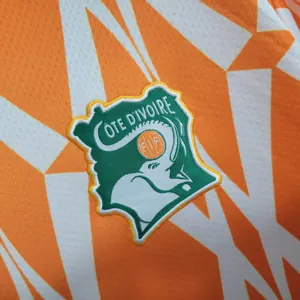 2023 Ivory Coast Training Kit Orange Shirts Cheap Soccer Jerseys 5