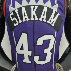 Toronto Raptors SIAKAM #43 Purple NBA Jersey 1