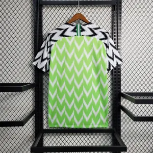 2018 Nigerian home 8