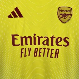 25-26 Arsenal Yellow Goalkeeper Shirt Football Uniform AAAAJersey Yupoo 4