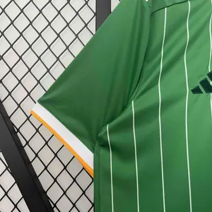 24-25 Celtic Special Edition Kit Jerseys Supllier Yupoo 1