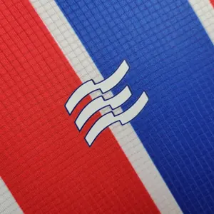 24-25 Bahia Souvenir Anniversary Edition Kit Jersey Supplier Yupoo 5