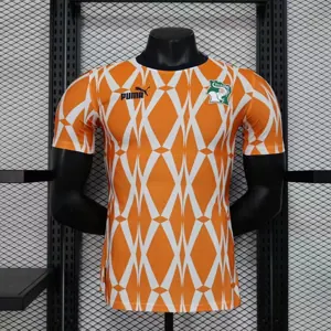 2023 Ivory Coast Training Kit Player Version Shirts Cheap Soccer Jerseys
