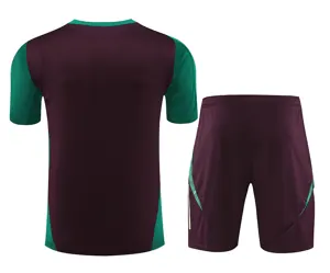 2024 Mexico Training Soccer Jerseys Football Shirts 2