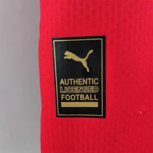 2022 Switzerland home 5