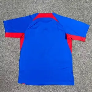 2024 Slovakia Home Kit UEFA Euro Shirt Football AAAAJersey Supplier 4