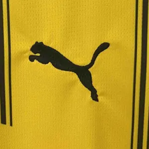 24-25 Dortmund BVB Home Kit Football Apparel AAAAJersey Wholesale Yupoo 5