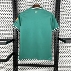 24-25 Aston Villa Green Special Edition T-Shirt AAAAJersey Supplier Yupoo 2