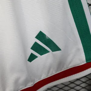 2026 World Cup Mexico Home Kit Player Version Football Shorts AAAAJersey Supply Yupoo 4