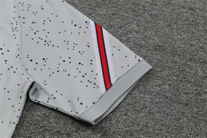 Polo Jordan PSG grey flower spot 1