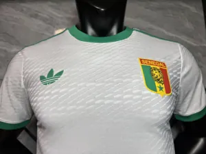 2026 Senegal Special Edition KIt Player Version Soccer T-Shirt AAAAJersey Supply Yupoo 3
