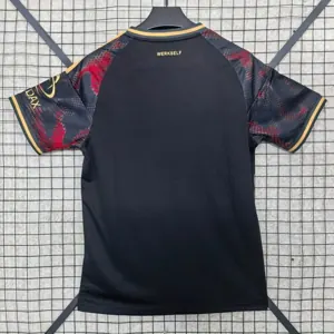 24-25 Leverkusen Special Edition Shirt Football Uniforms AAAAJersey Supplier Yupoo 2