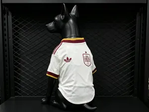 2026 World Cup Spain Away Kit Pet Jersey Yupoo 3