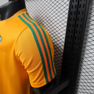 2026 World Cup Ivory Coast retro football jersey casual style AAAA Jersey Drop ship Yupoo 5