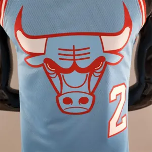 Chicago Bulls BALL#2 Blue NBA Jersey 2