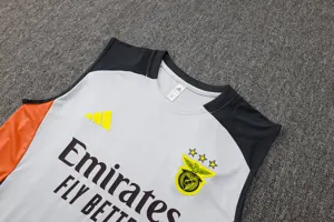 25-26 Benfica Training Vest Kit Soccer AAAAJersey Yupoo S-2XL 2