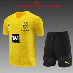 23-24 Dortmund Kids Training Soccer Jerseys Yupoo