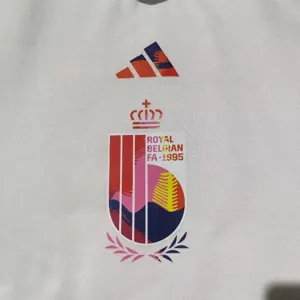 2022 Belgium Hoodie 4