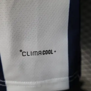 2026 World Cup Wales Special Edition Football Shirt Player Edition AAAA Jersey Drop ship Yupoo 2