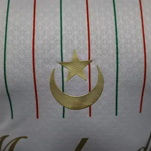 25-26 Palestine x Mouloudia 1921 Special Edition Kit Player Version Shirt Soccer AAAAJersey Yup 2