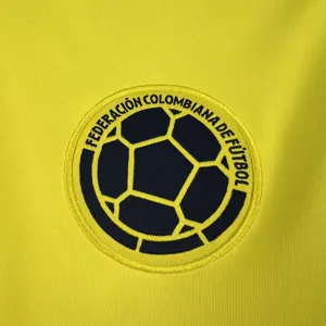 2026 Colombia Mens Pre-Match Kit Football T-Shirt AAAAJersey Supply Yupoo 6 5