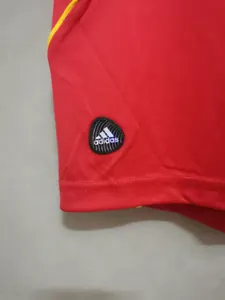 2008 Spain home 8