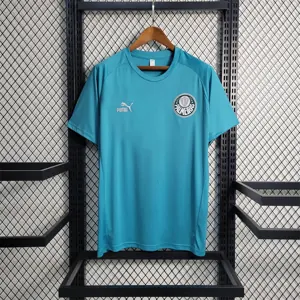 23-24 Palmeiras Training Suit Green