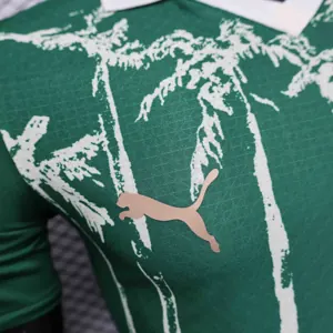25-26 Palmeiras Cup World Home Kit Player Version Shirt AAAAJersey Supplier Yupoo 2