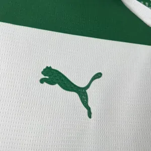 25-26 Palmeiras Special Edition Kit Football T-Shirt AAAAJersey Supply Yupoo 3