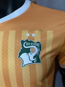 2023 Ivory Coast Home Kit Player Edition Shirts Football AAAAJersey Yupoo 6