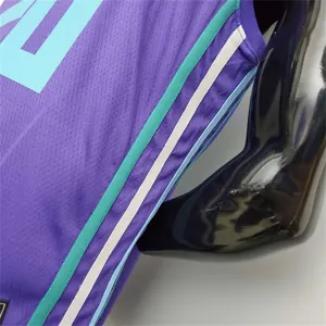 Hornets Hayward#20 Purple 2