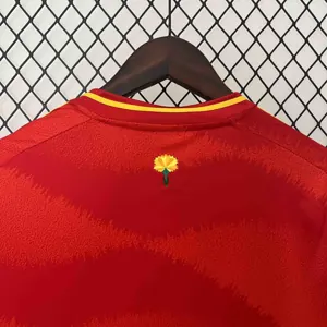 2024 Spain Home Kit UEFA Euro Shirt Jerseys Supllier Yupoo 7