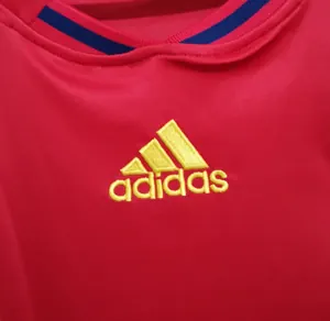 2010 Spain home 16