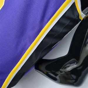75th Anniversary James #6 Los Angeles Lakers Jordan Purple NBA Jersey 8